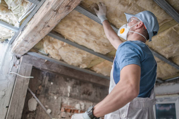 Best DIY Insulation Kits and Guidance in Morrilton, AR