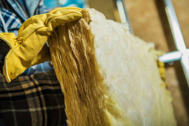 Best Insulation Maintenance and Repair in Morrilton, AR