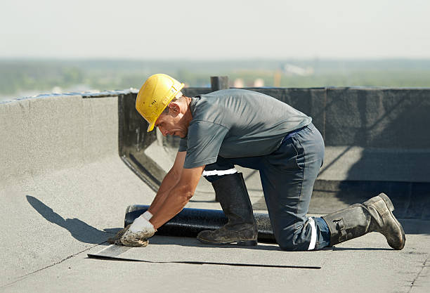 Best Commercial Insulation in Morrilton, AR