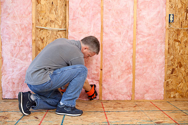 Best Specialized Insulation Services in Morrilton, AR
